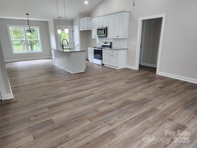 kitchen with a sink, wood finished floors, stainless steel appliances, and open floor plan