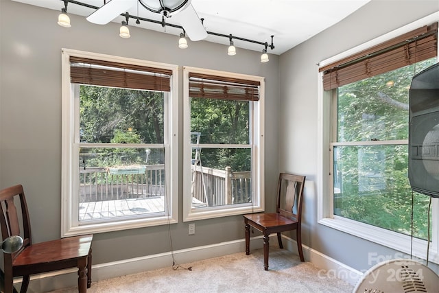 interior space featuring light colored carpet