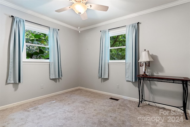 carpeted spare room featuring ceiling fan, a wealth of natural light, and ornamental molding