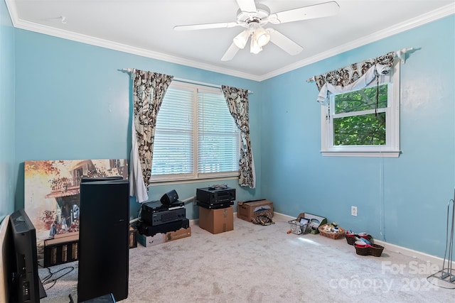 office featuring ceiling fan, crown molding, and light carpet