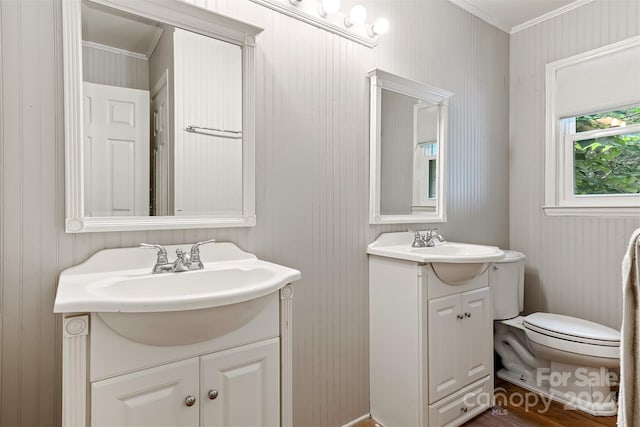 bathroom with toilet, vanity, and crown molding