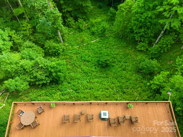 aerial view
