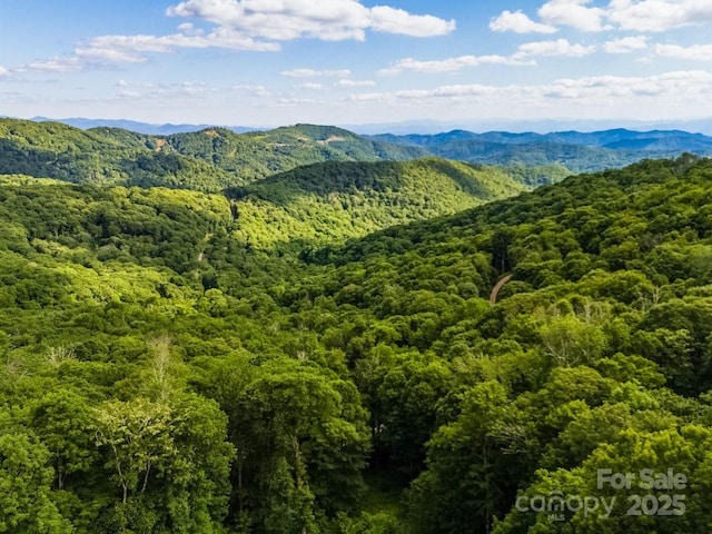 property view of mountains with a forest view