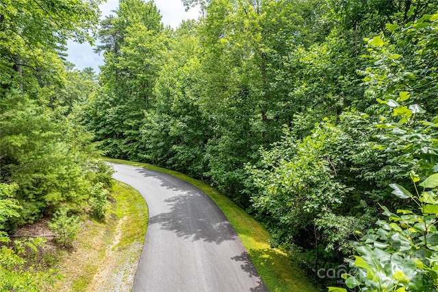 TBD Stone Field Trail 68, Brevard NC, 28712 land for sale