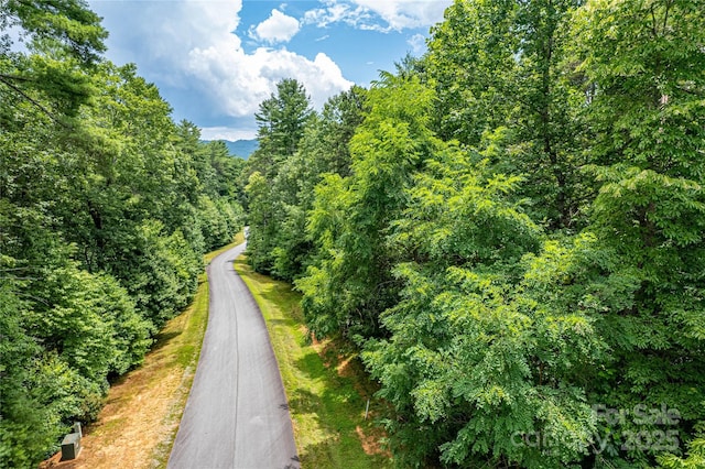 Listing photo 3 for TBD Stone Field Trail 68, Brevard NC 28712