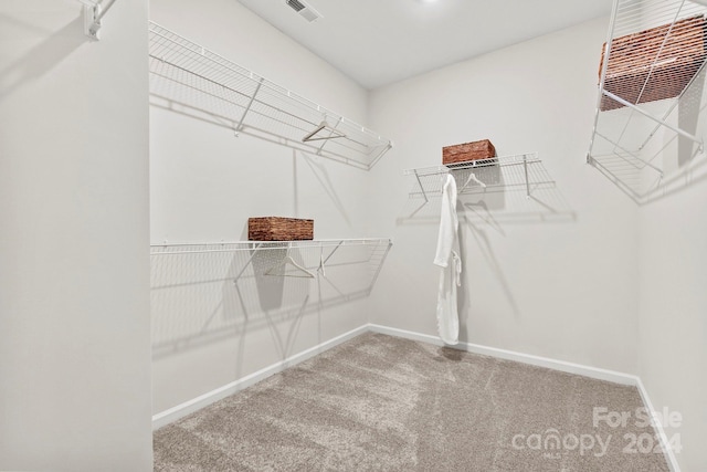 walk in closet featuring carpet floors