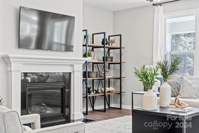 living room with a fireplace and dark hardwood / wood-style flooring