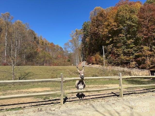 9999 Cisco Cv Unit R5, Waynesville, NC 28785