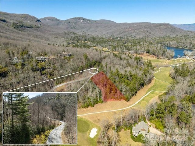 Listing photo 2 for K30 Chestnut Trce Unit 30, Lake Toxaway NC 28747