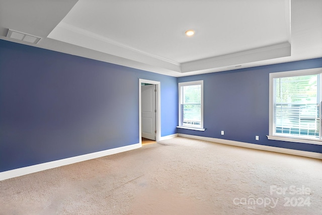 carpeted spare room featuring crown molding and a tray ceiling