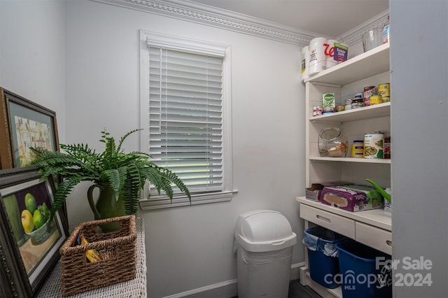 bathroom featuring crown molding