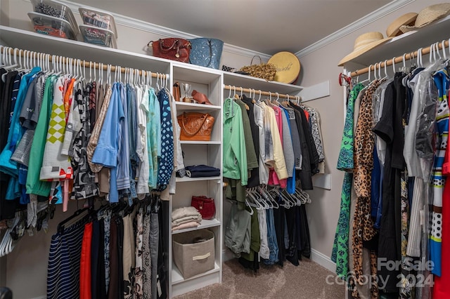 spacious closet featuring carpet floors