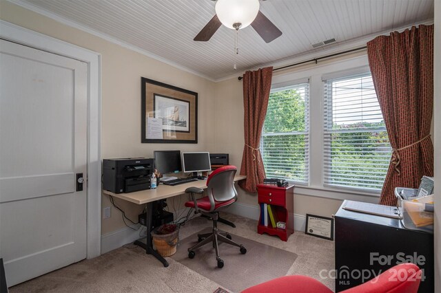 home office with a wealth of natural light, crown molding, and carpet flooring