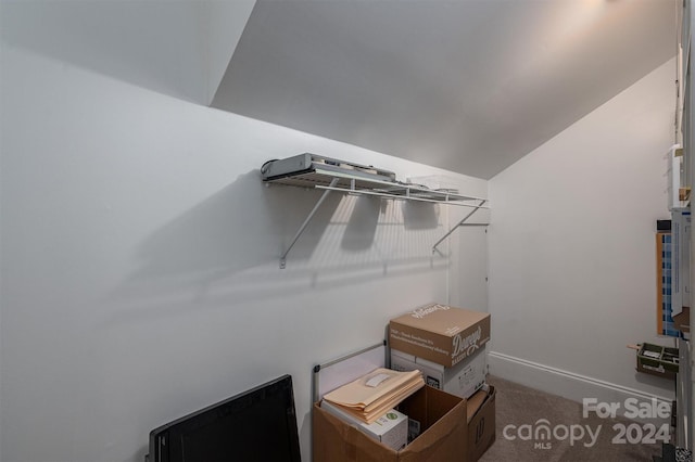 walk in closet with vaulted ceiling and carpet flooring