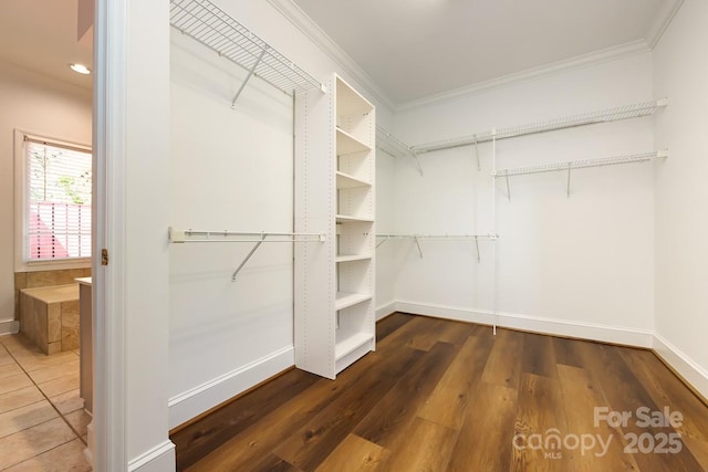 walk in closet with dark hardwood / wood-style floors