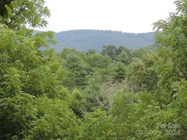 00 Ridge Rd, Spruce Pine NC, 28777 land for sale