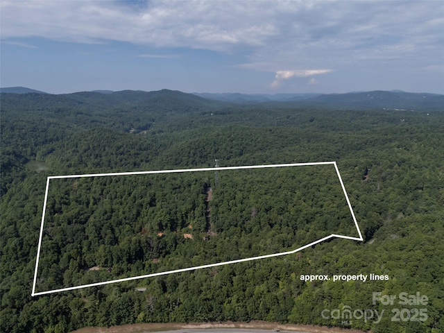 aerial view with a mountain view