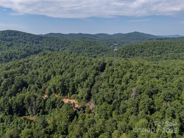 aerial view with a mountain view