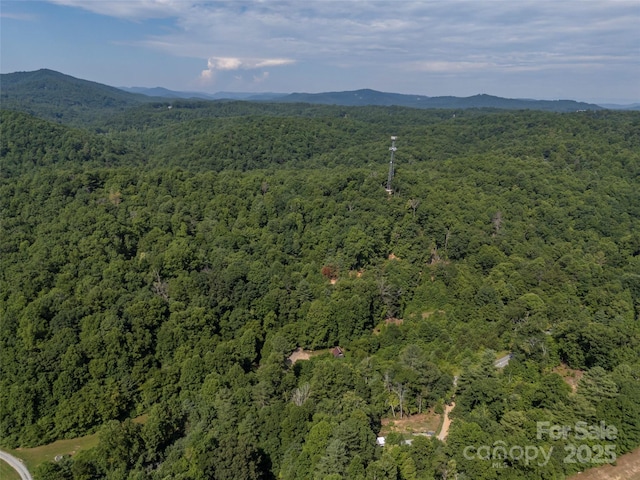 aerial view with a mountain view