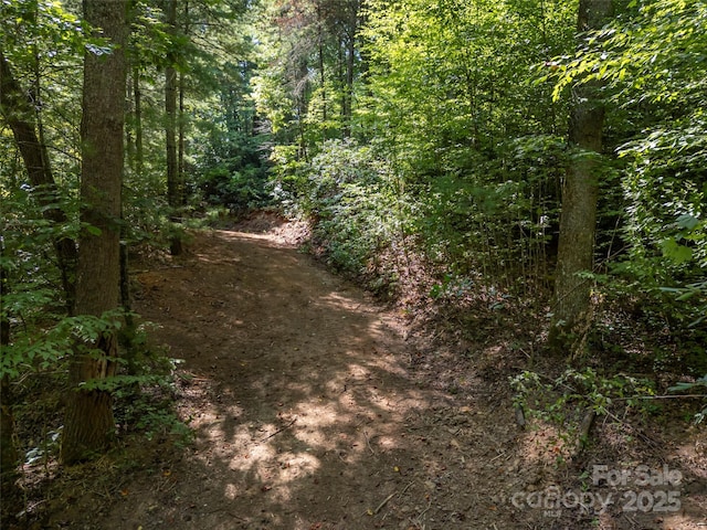 view of local wilderness