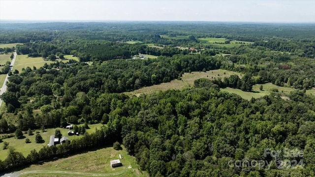 bird's eye view