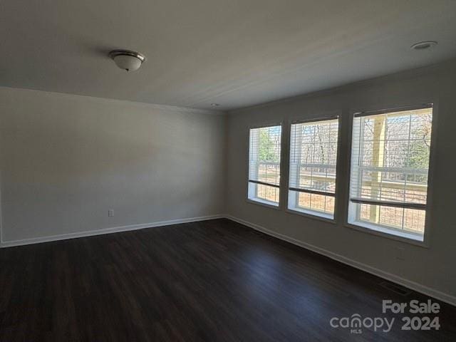 spare room featuring plenty of natural light and dark hardwood / wood-style flooring