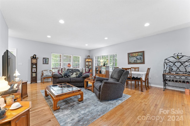 living room with light hardwood / wood-style floors