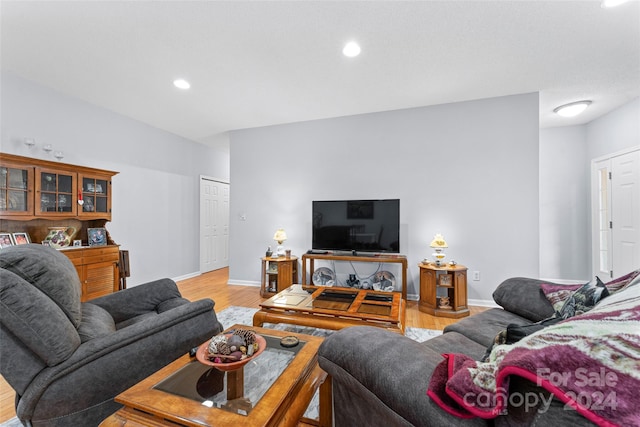 living room featuring hardwood / wood-style floors