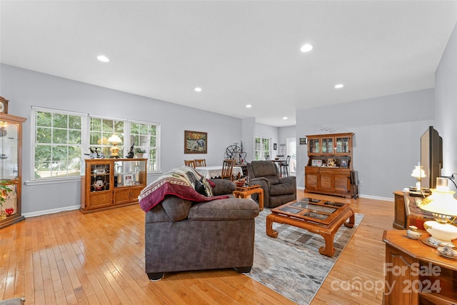 living room with light wood-type flooring