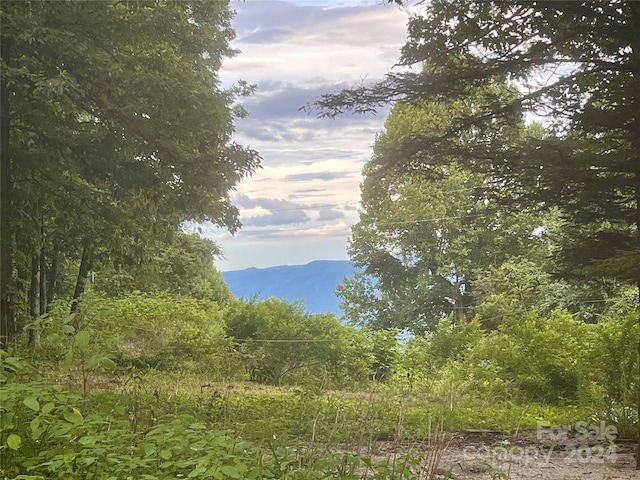 property view of mountains