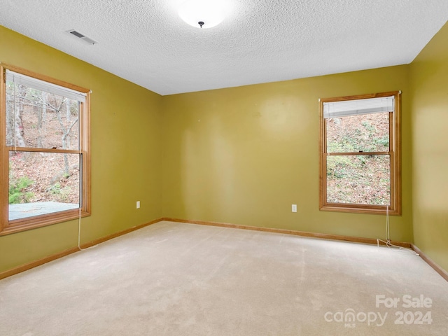 spare room with a textured ceiling, light carpet, and a wealth of natural light