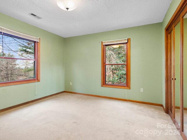 unfurnished bedroom featuring multiple windows, light carpet, and a textured ceiling