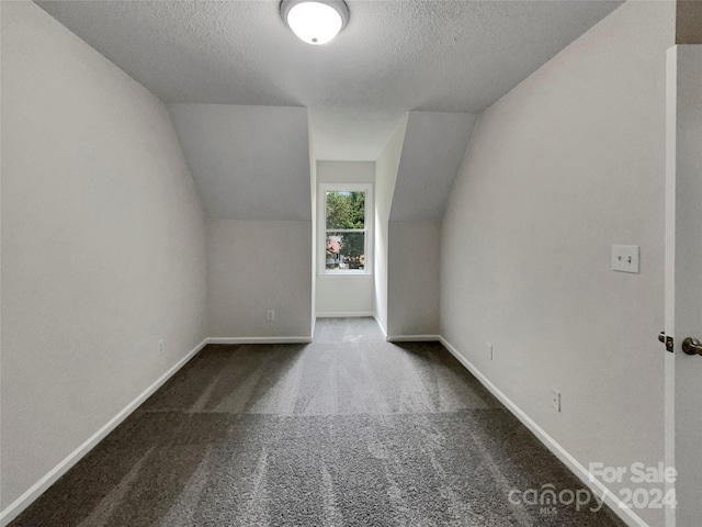 additional living space featuring lofted ceiling, carpet floors, and a textured ceiling