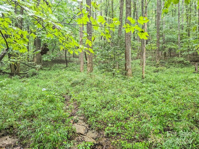 Listing photo 3 for 22-B Pinnacle Pkwy, Union Mills NC 28167