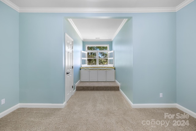 carpeted spare room with crown molding