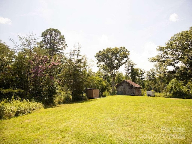 view of yard with a storage shed