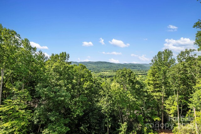 1018 Willow Ridge Dr, Hendersonville, NC 28739 - photo 24
