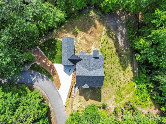1018 Willow Ridge Dr, Hendersonville, NC 28739 - photo 46
