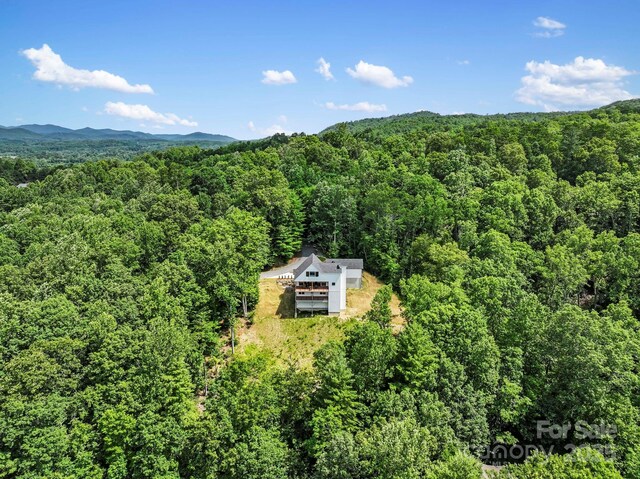 1018 Willow Ridge Dr, Hendersonville, NC 28739 - photo 48