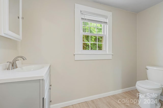 bathroom with vanity, wood-type flooring, and toilet