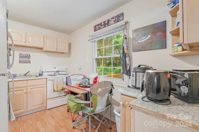 kitchen with a wealth of natural light, light hardwood / wood-style flooring, white appliances, and light brown cabinetry