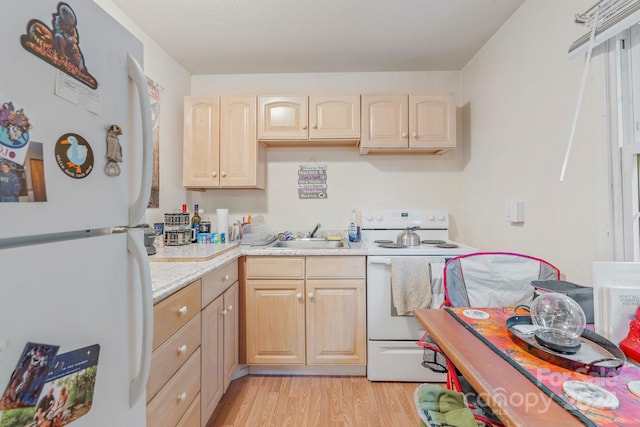 kitchen with light hardwood / wood-style floors, sink, white appliances, and light brown cabinetry