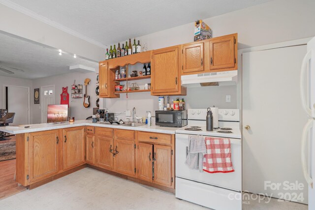 kitchen with light wood-type flooring, white electric stove, sink, and kitchen peninsula