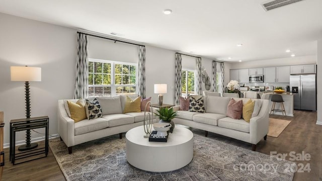 living room with dark hardwood / wood-style flooring and a healthy amount of sunlight