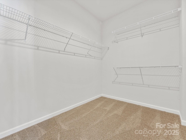 spacious closet with carpet