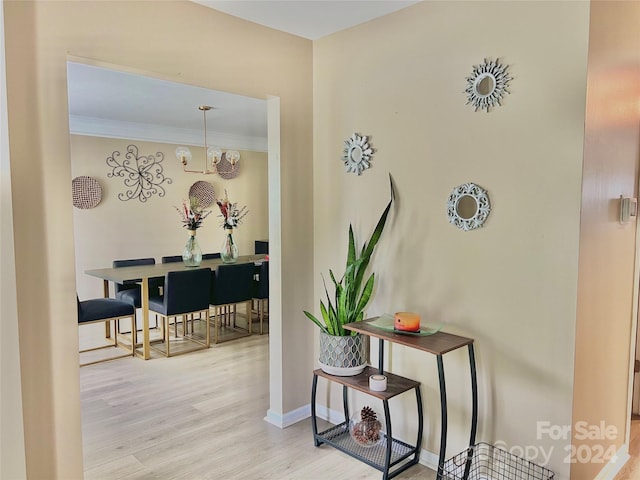 hallway featuring an inviting chandelier, light hardwood / wood-style flooring, and ornamental molding