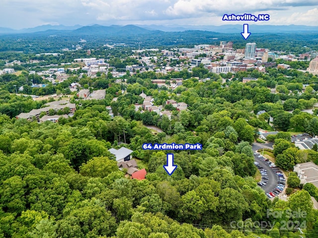 Listing photo 3 for 64 Ardmion Park, Asheville NC 28801