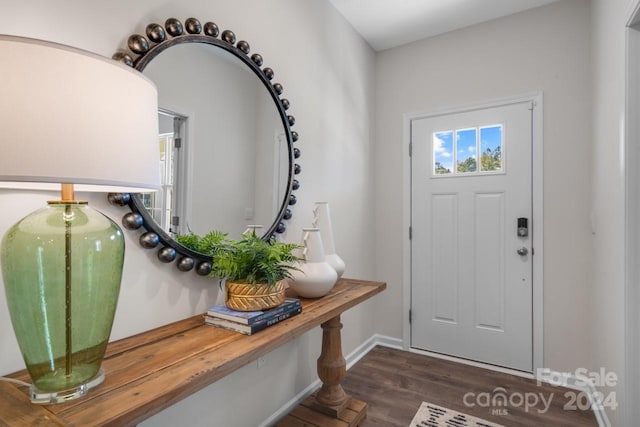 entryway with dark hardwood / wood-style floors