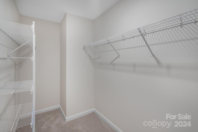 spacious closet with carpet floors