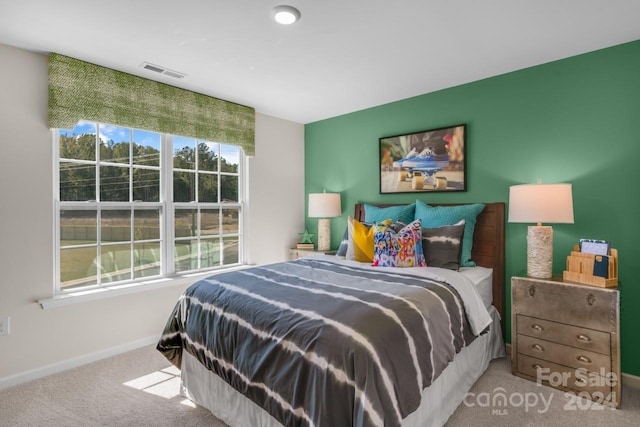 bedroom featuring carpet floors and multiple windows